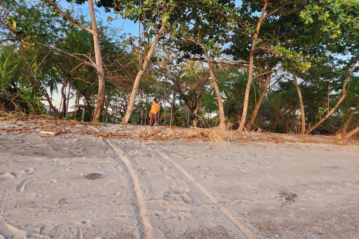 Land for Sale in Mayabon, Zamboanguita, Negros Oriental – photo 4