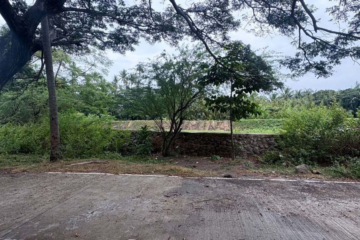 Land for Sale in Mayabon, Zamboanguita, Negros Oriental – photo 7