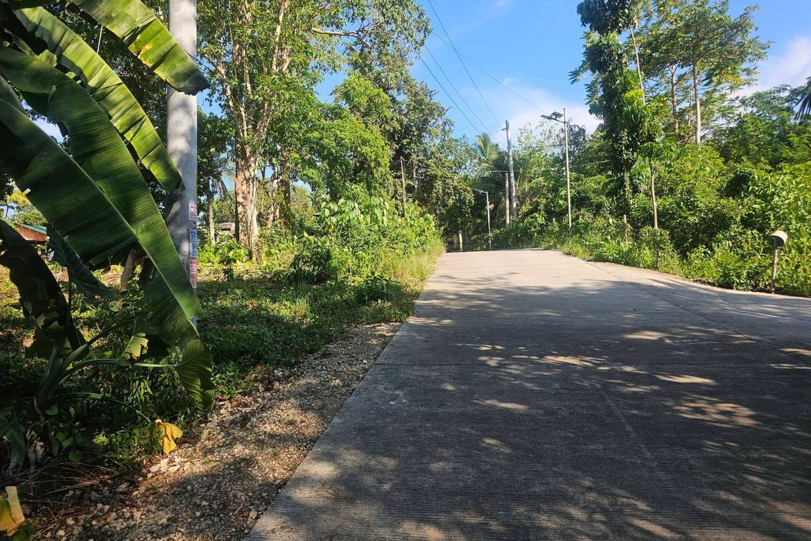 Land for Sale in Mayacabac, Dauis, Bohol – photo 3