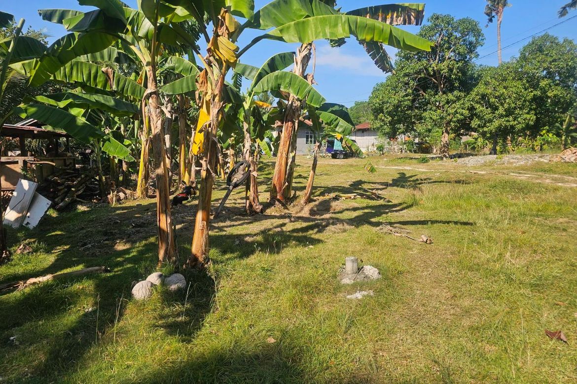 Land for Sale in Mayacabac, Dauis, Bohol – photo 6