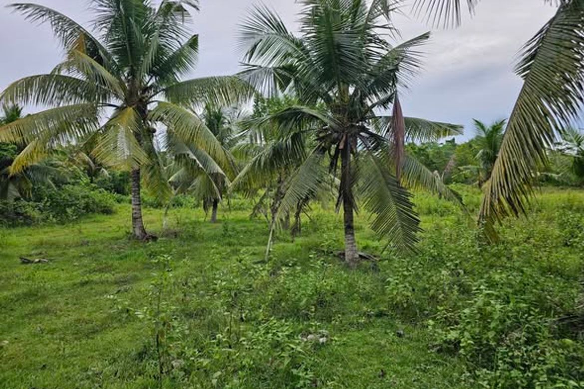 Land for Sale in Mayacabac, Dauis, Bohol