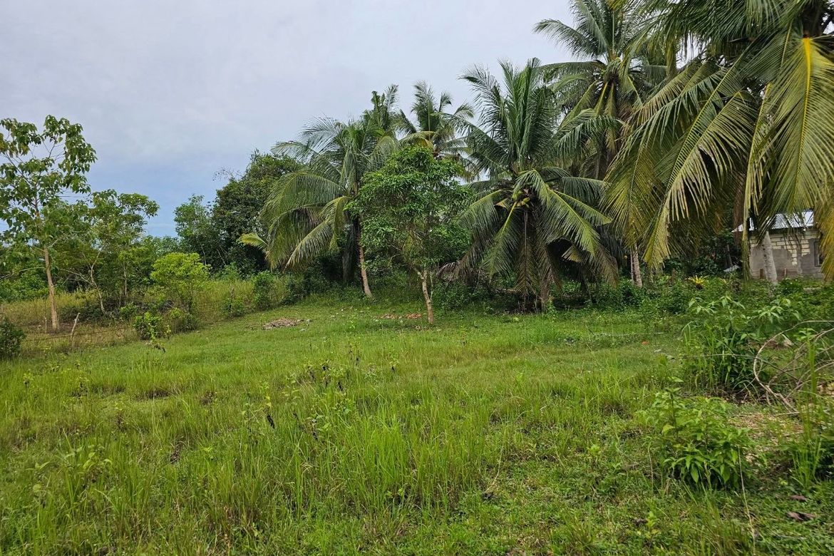 Land for Sale in Mayacabac, Dauis, Bohol – photo 3