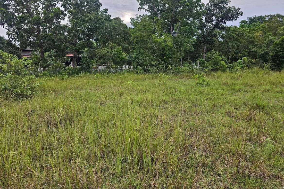 Land for Sale in Mayacabac, Dauis, Bohol – photo 4