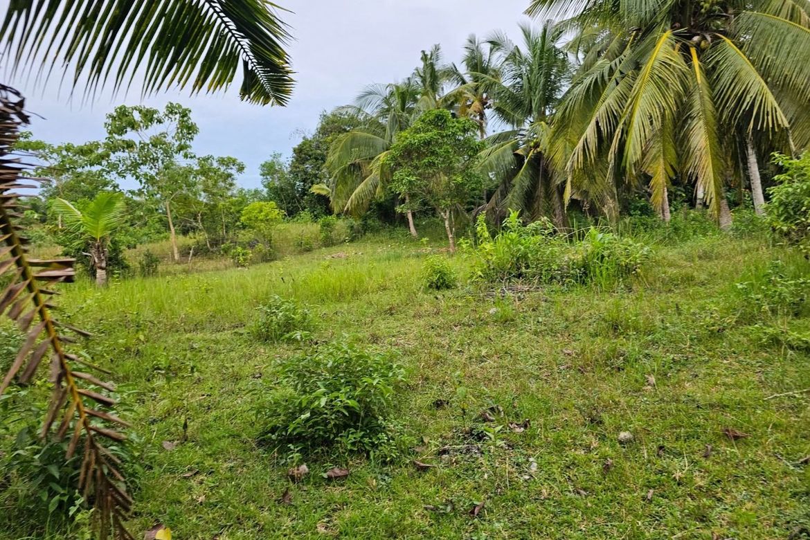 Land for Sale in Mayacabac, Dauis, Bohol – photo 6