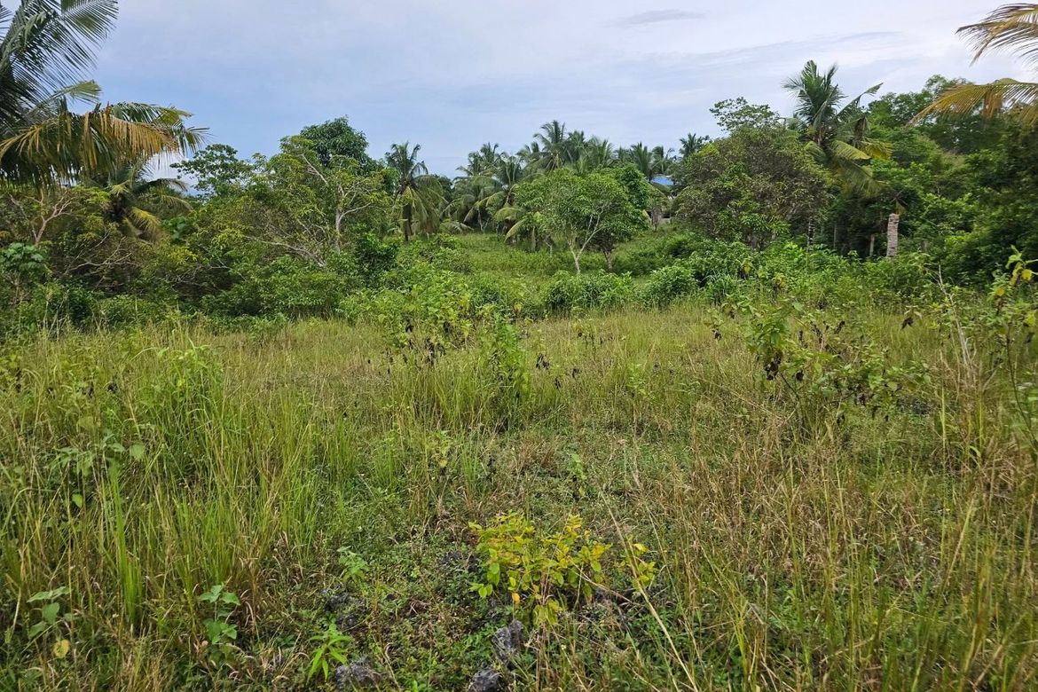 Land for Sale in Mayacabac, Dauis, Bohol – photo 7