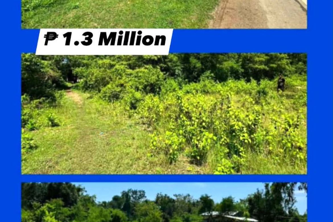 Land for Sale in Mayacabac, Dauis, Bohol – photo 2
