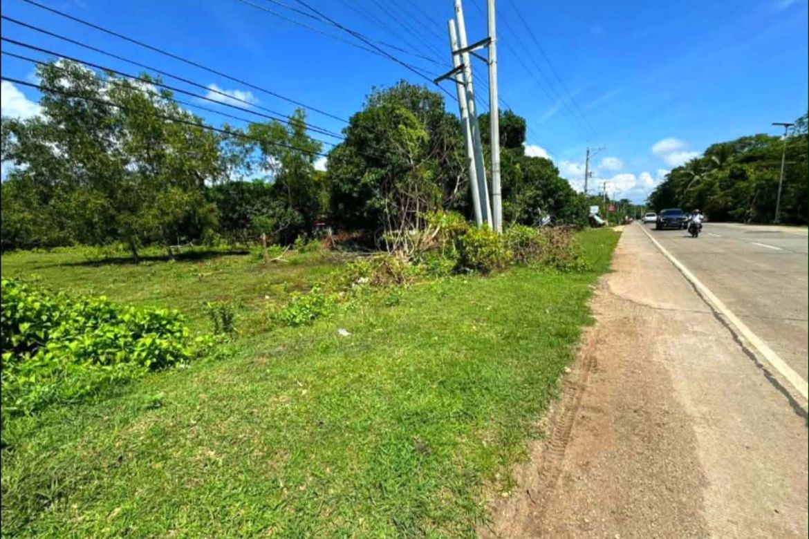 Land for Sale in Mayacabac, Dauis, Bohol – photo 3