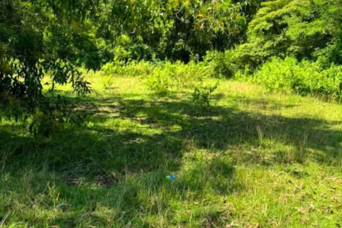 Land for Sale in Mayacabac, Dauis, Bohol – photo 7