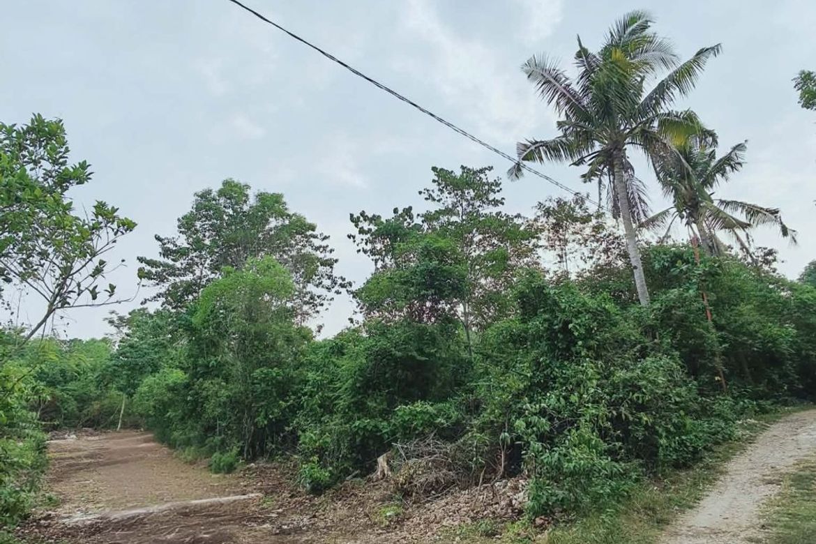Land for Sale in Mayacabac, Dauis, Bohol