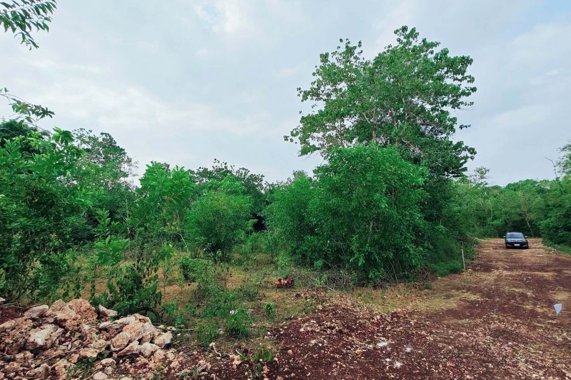 Land for Sale in Mayacabac, Dauis, Bohol – photo 2