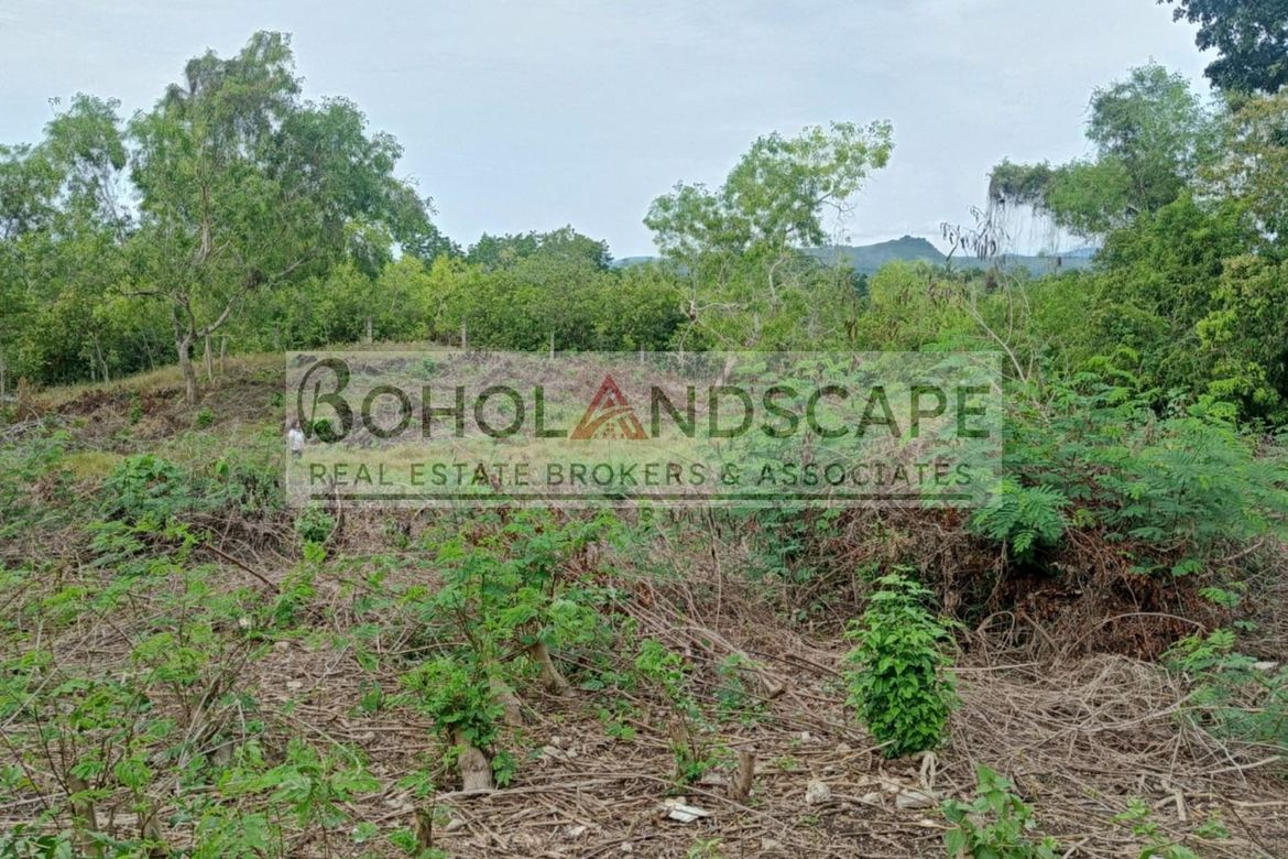 Land for Sale in Mayacabac, Dauis, Bohol – photo 4
