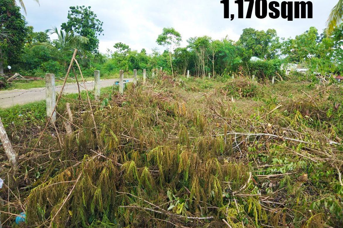 Land for Sale in Mayacabac, Dauis, Bohol – photo 2