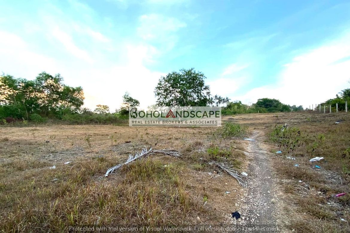 Land for Sale in Mayacabac, Dauis, Bohol – photo 2