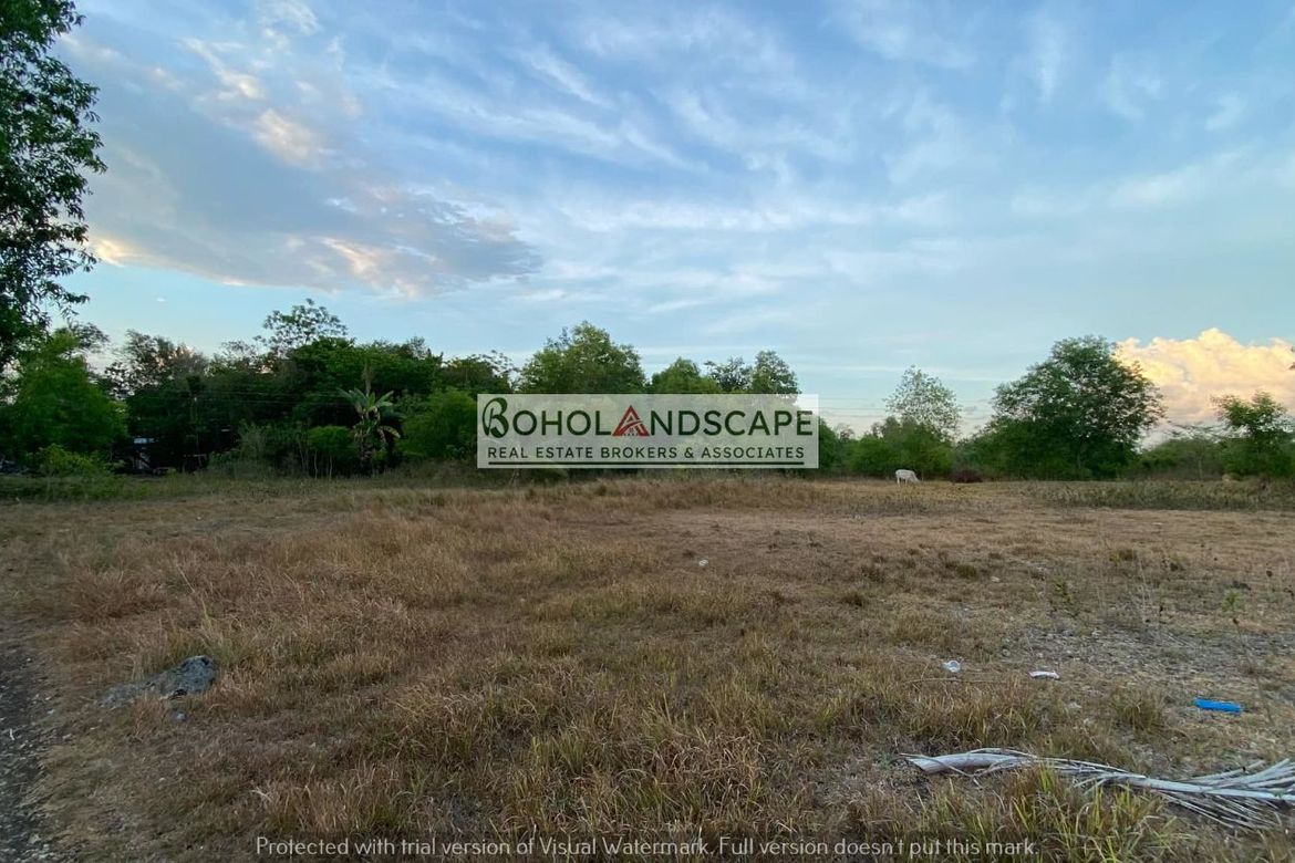 Land for Sale in Mayacabac, Dauis, Bohol – photo 4