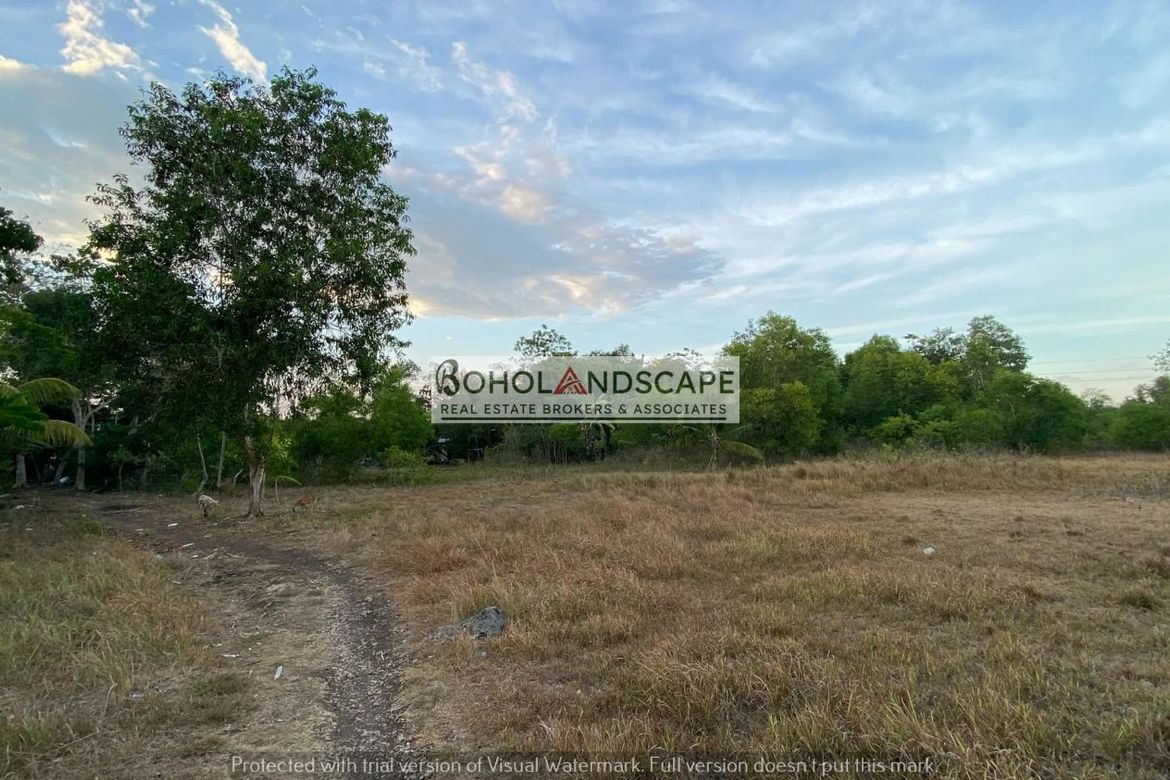 Land for Sale in Mayacabac, Dauis, Bohol – photo 5