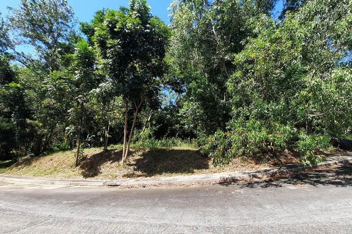 Land for Sale in Mayamot, Antipolo, Rizal