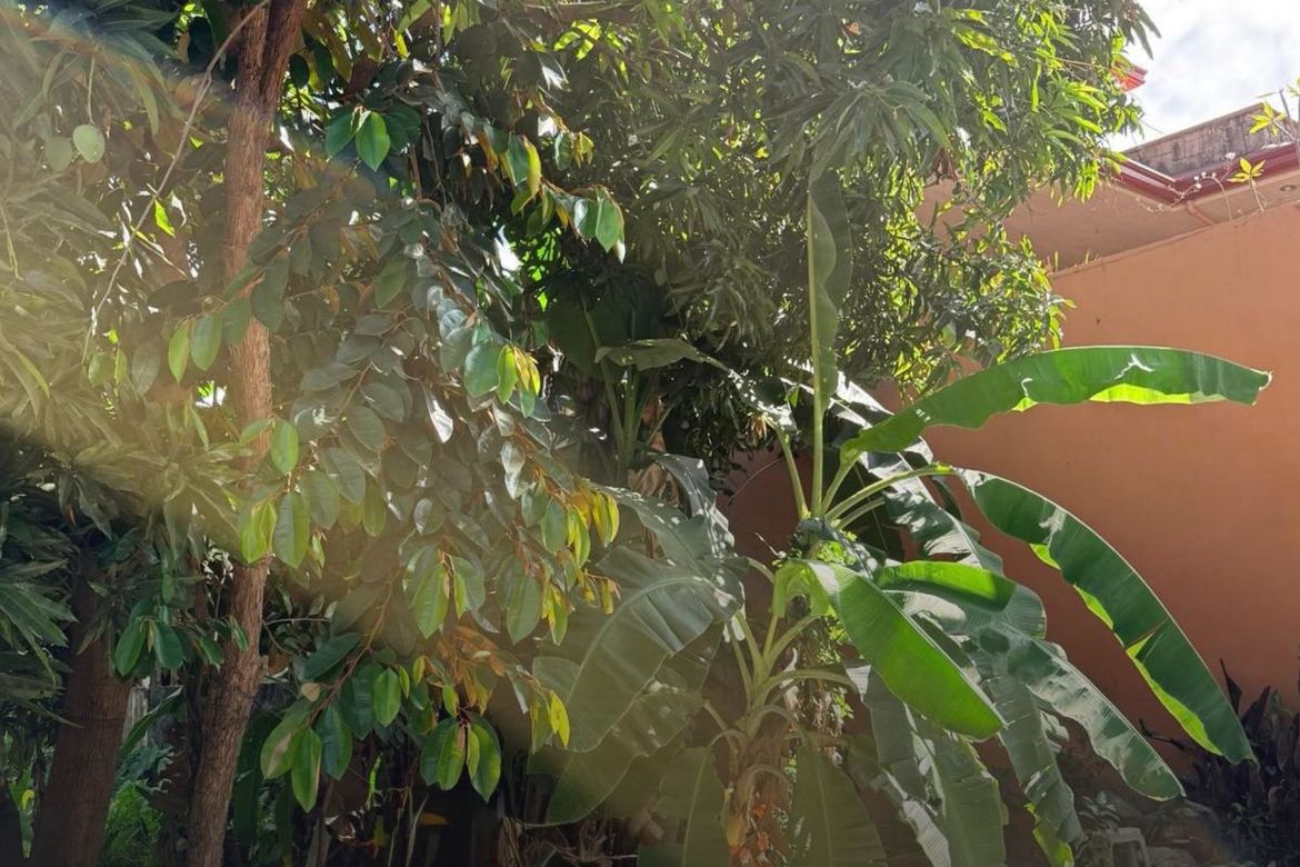Land for Sale in Mayamot, Antipolo, Rizal