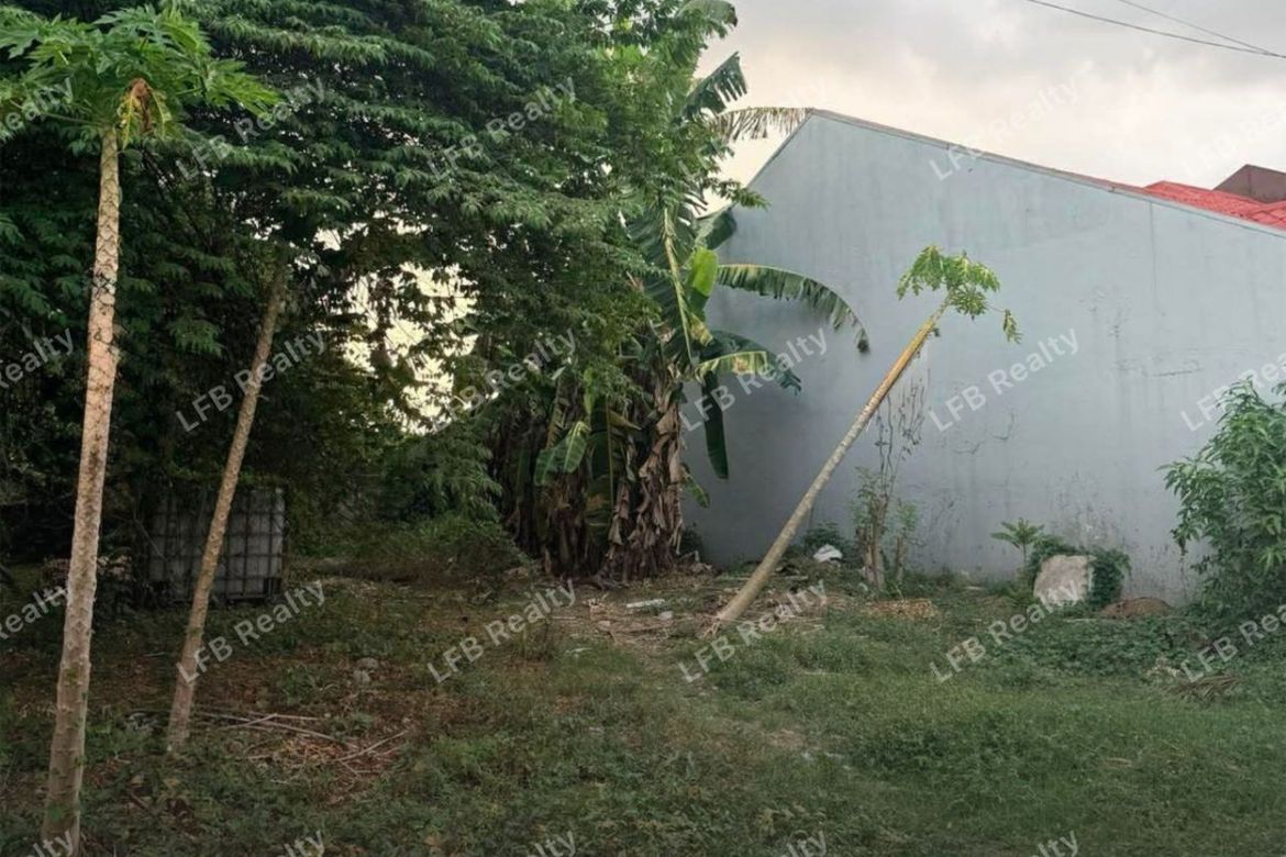 Land for Sale in Mayamot, Antipolo, Rizal