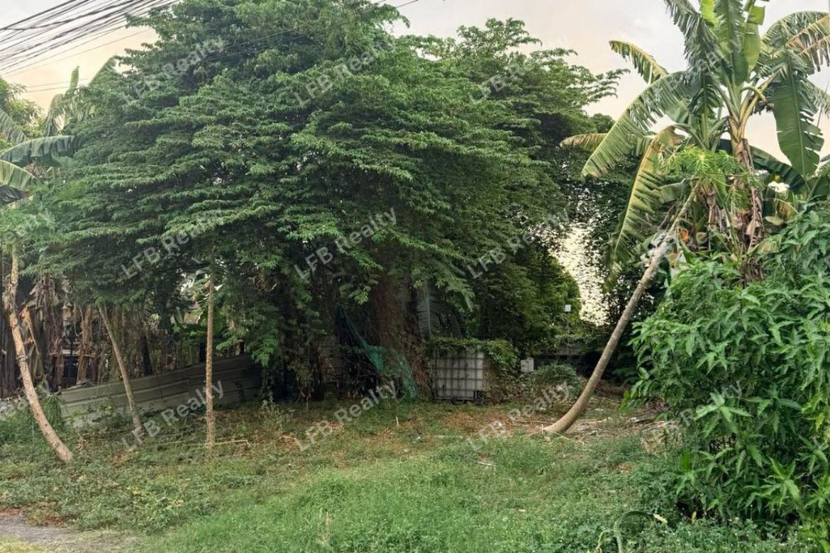 Land for Sale in Mayamot, Antipolo, Rizal – photo 2