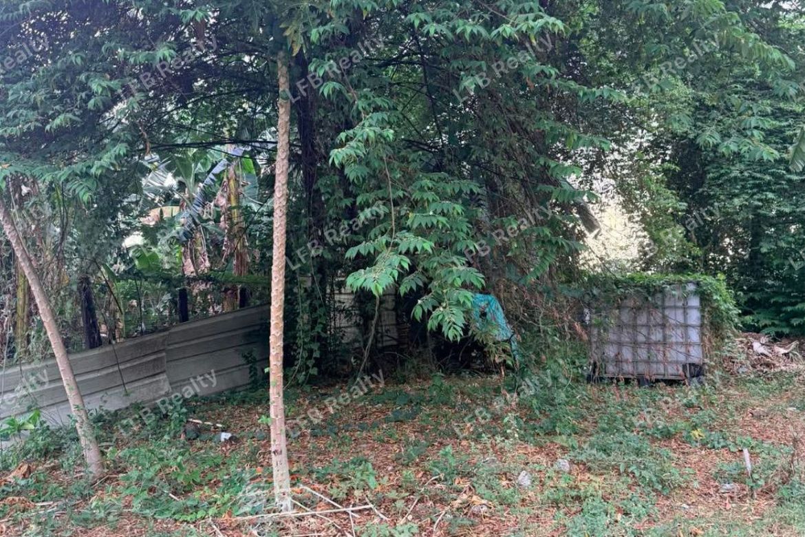 Land for Sale in Mayamot, Antipolo, Rizal – photo 3