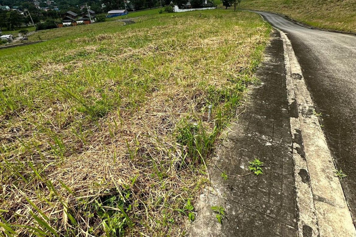 Land for Sale in Mayamot, Antipolo, Rizal – photo 3
