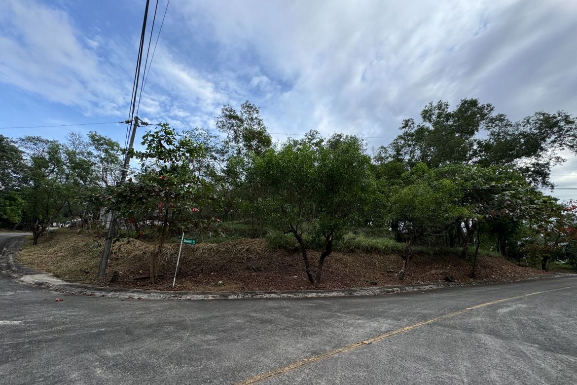 Land for Sale in Mayamot, Antipolo, Rizal