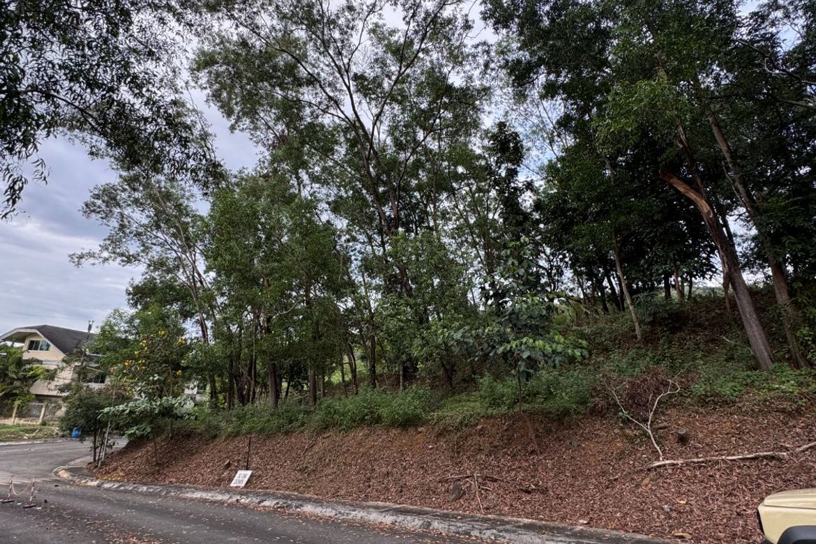 Land for Sale in Mayamot, Antipolo, Rizal – photo 5
