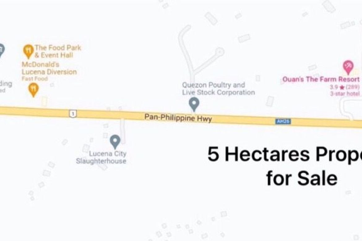 Land for Sale in Mayao Kanluran, Lucena, Quezon – photo 6