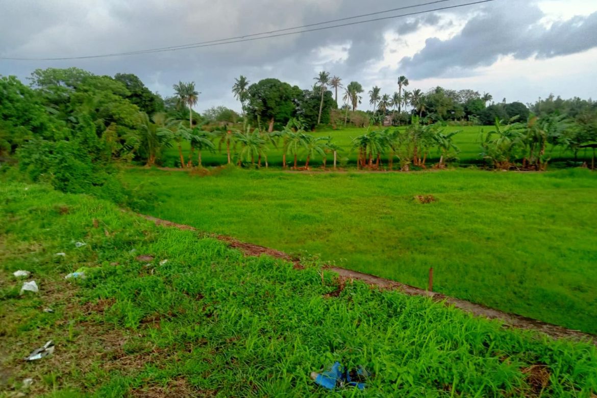 Land for Sale in Mayao Silangan, Lucena, Quezon