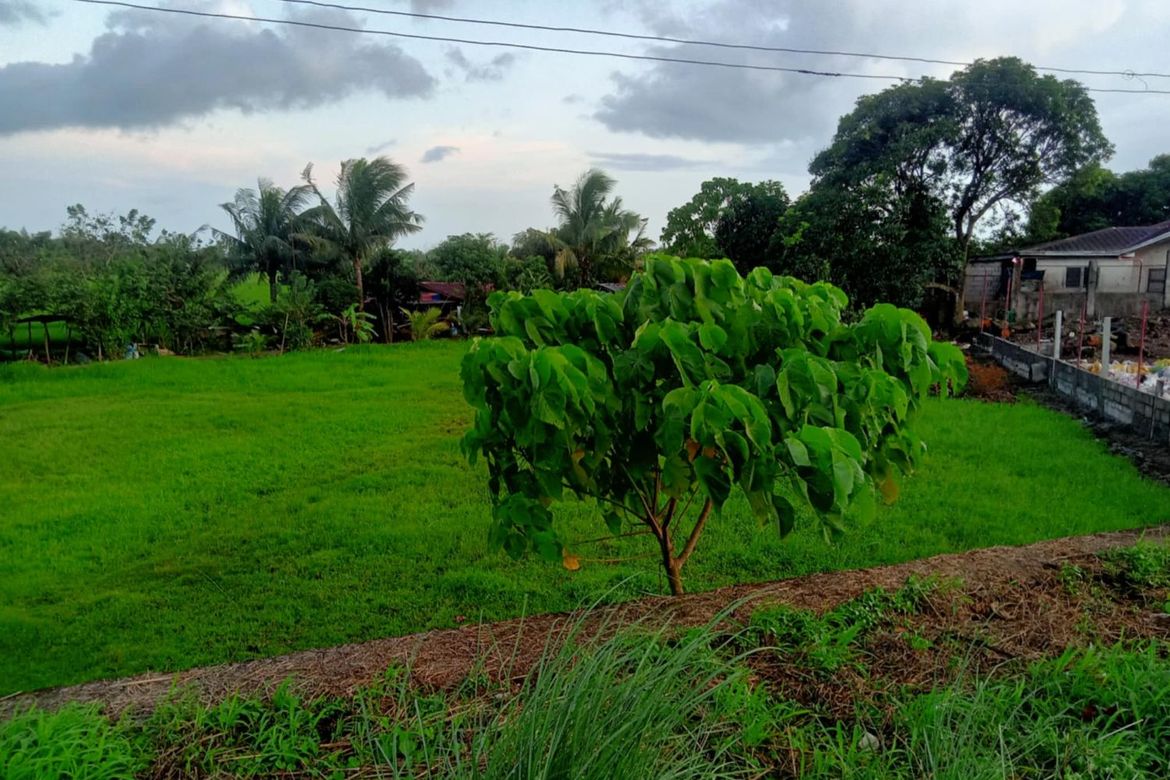 Land for Sale in Mayao Silangan, Lucena, Quezon – photo 6