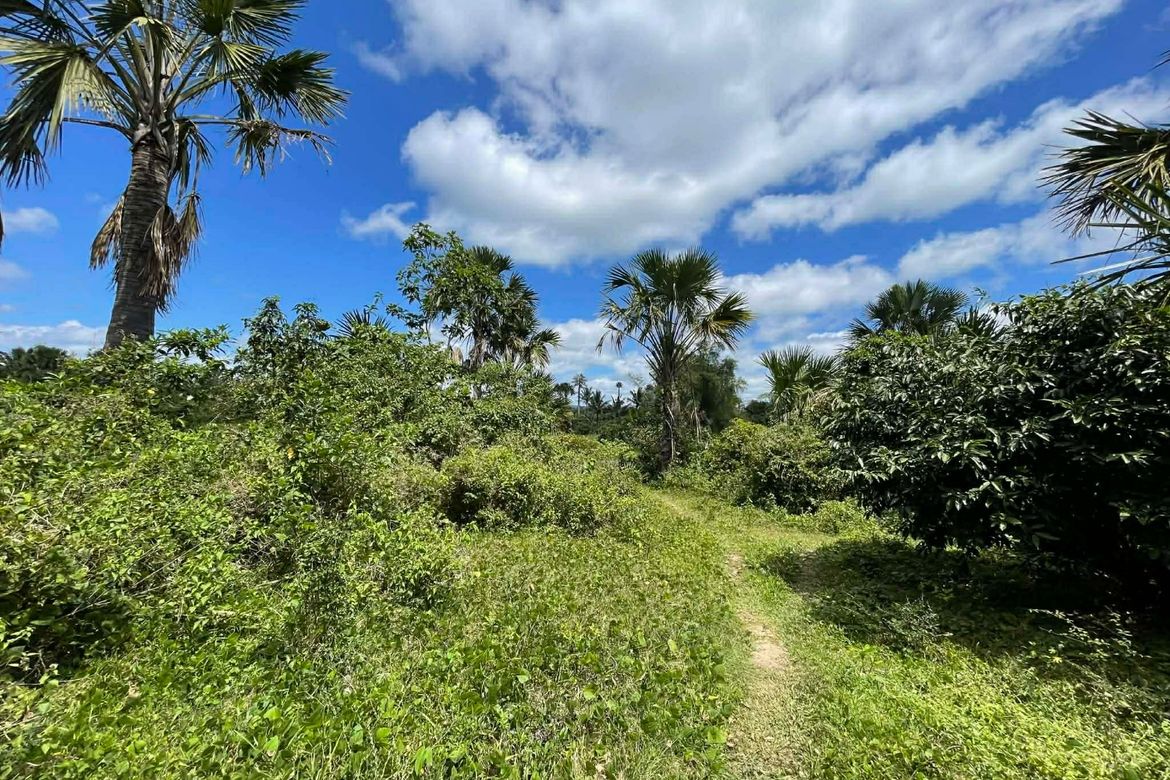 Land for Sale in Mayao Silangan, Lucena, Quezon – photo 4