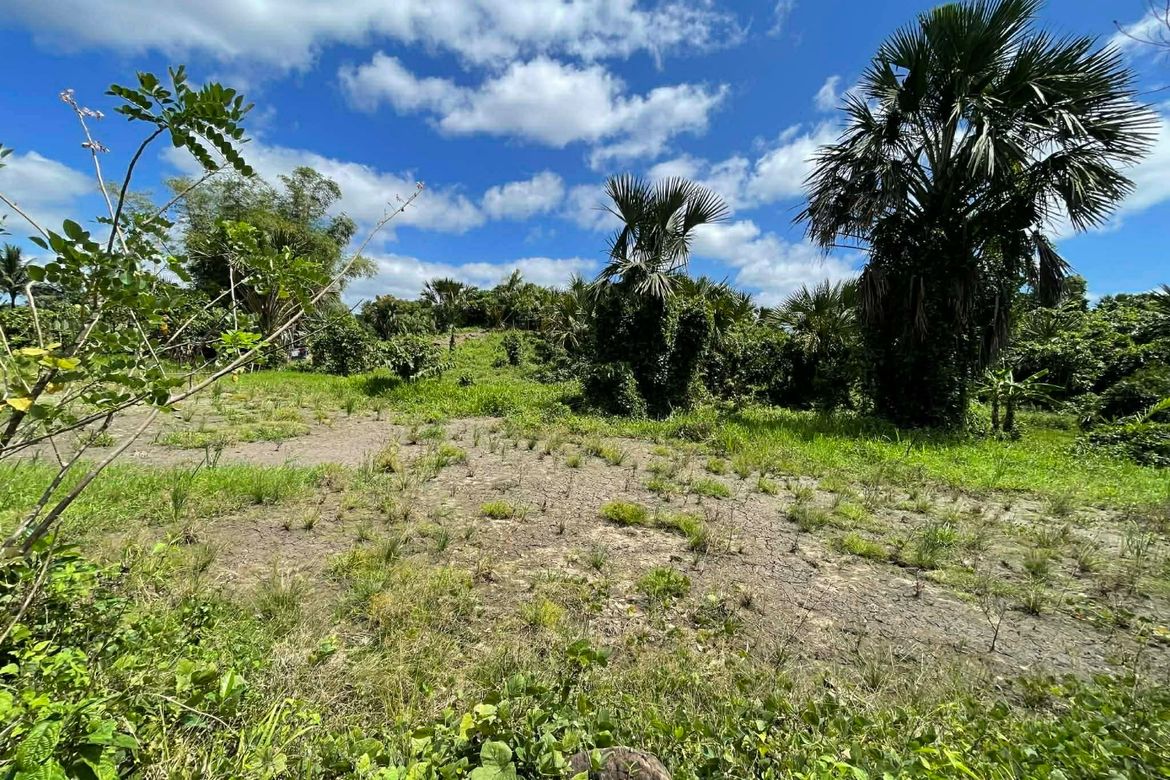 Land for Sale in Mayao Silangan, Lucena, Quezon – photo 7