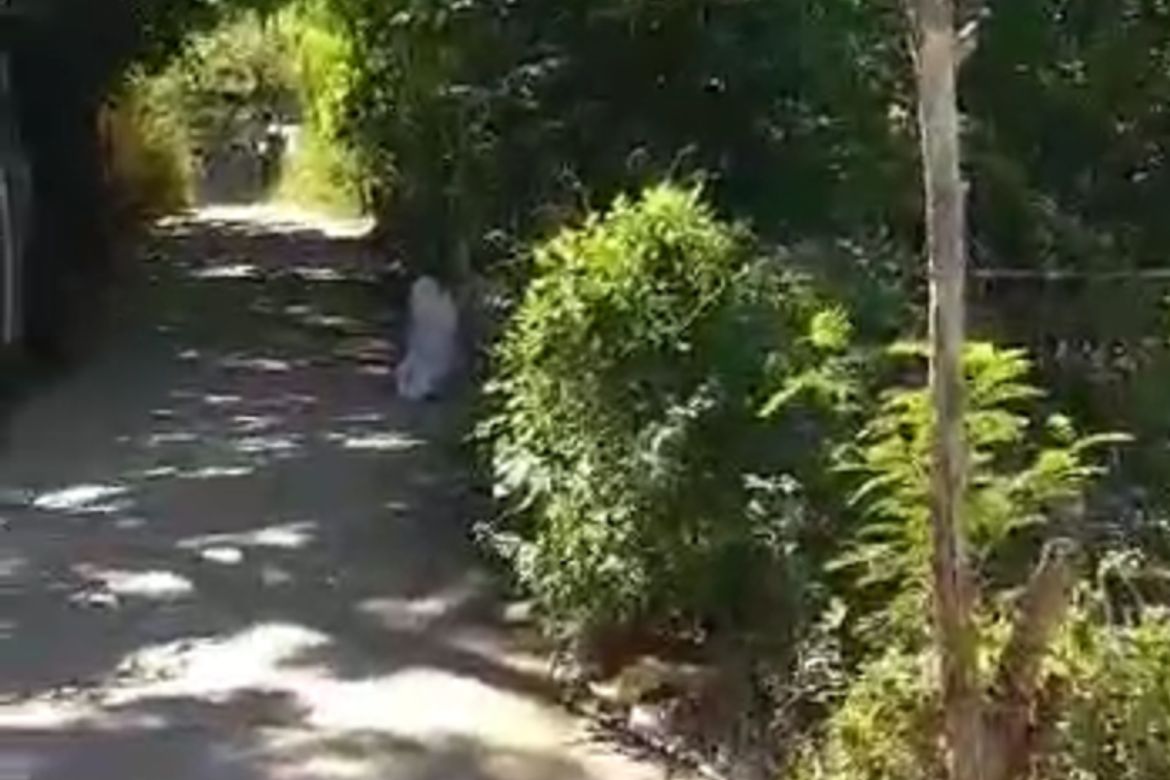 Land for Sale in Maybancal, Morong, Rizal – photo 2