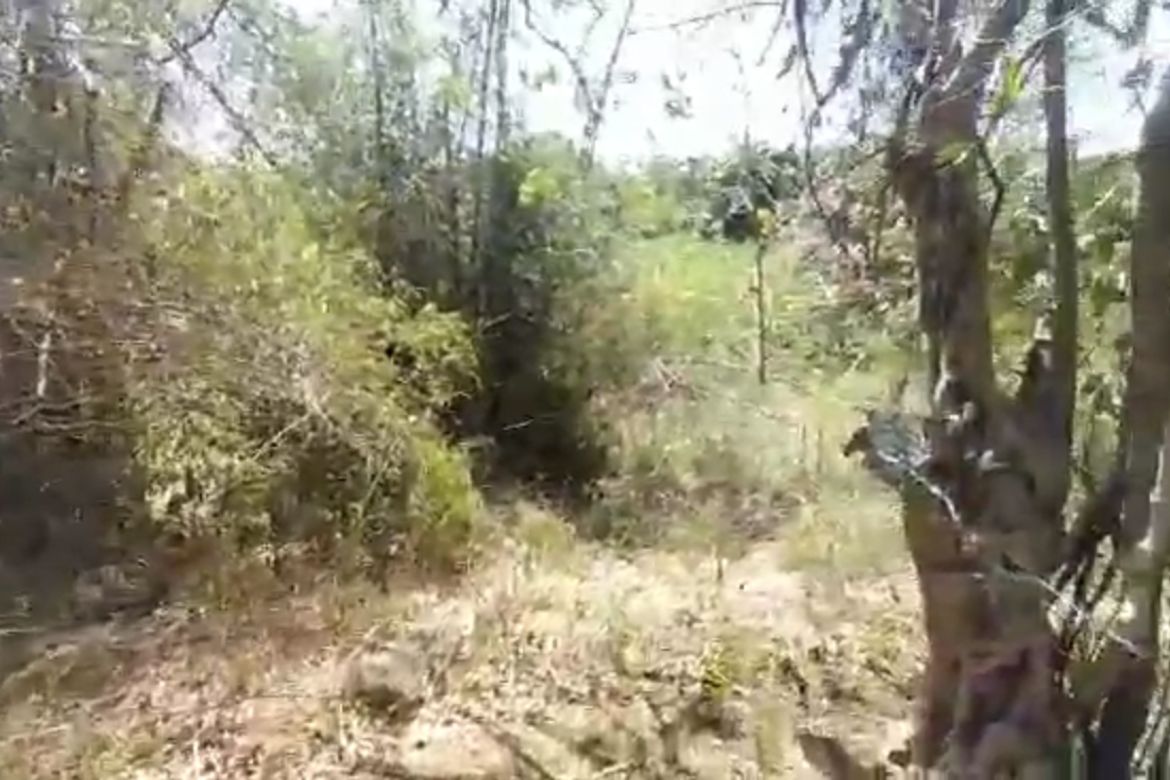 Land for Sale in Maybancal, Morong, Rizal – photo 4