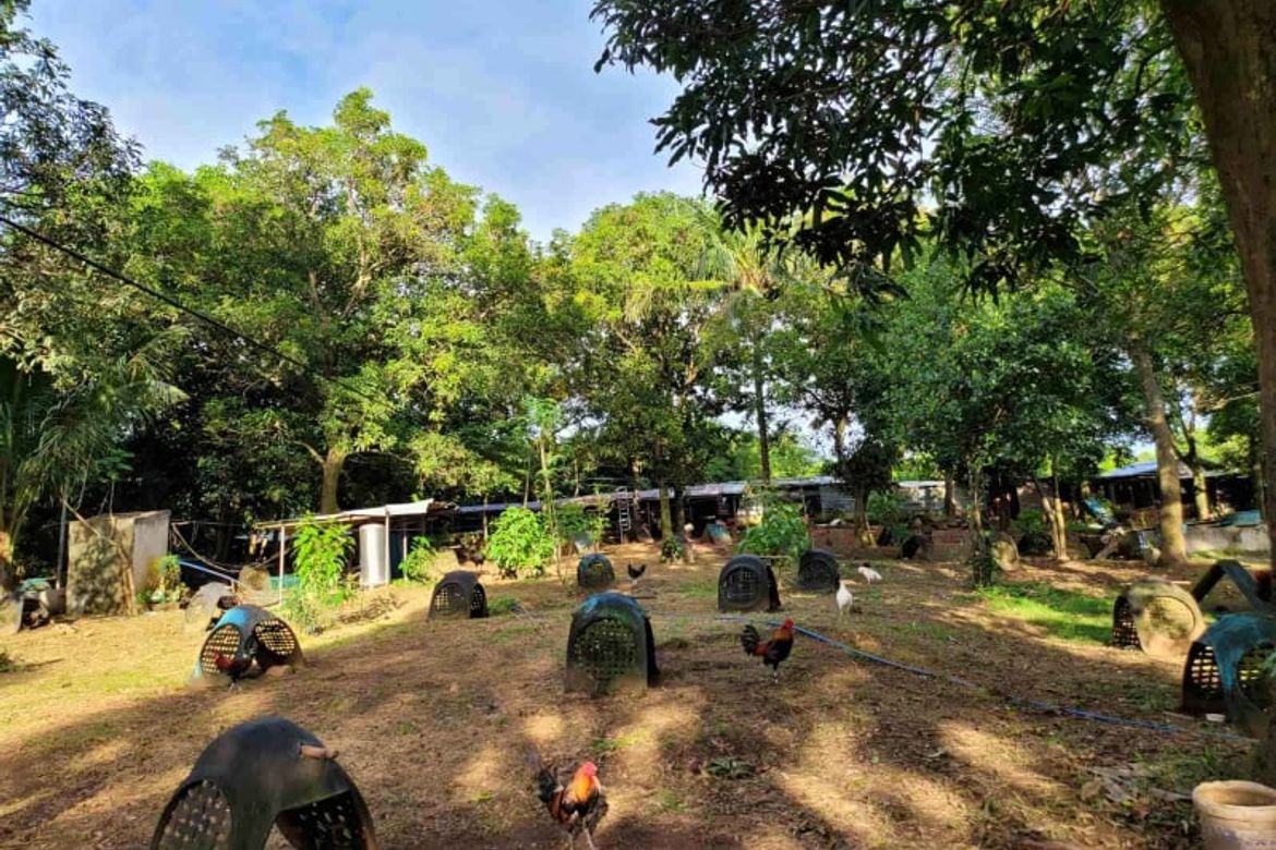 Land for Sale in Maybancal, Morong, Rizal – photo 3
