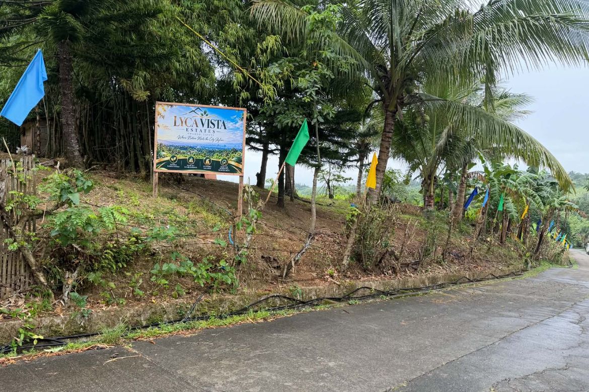 Land for Sale in Maymangga, Amadeo, Cavite – photo 2