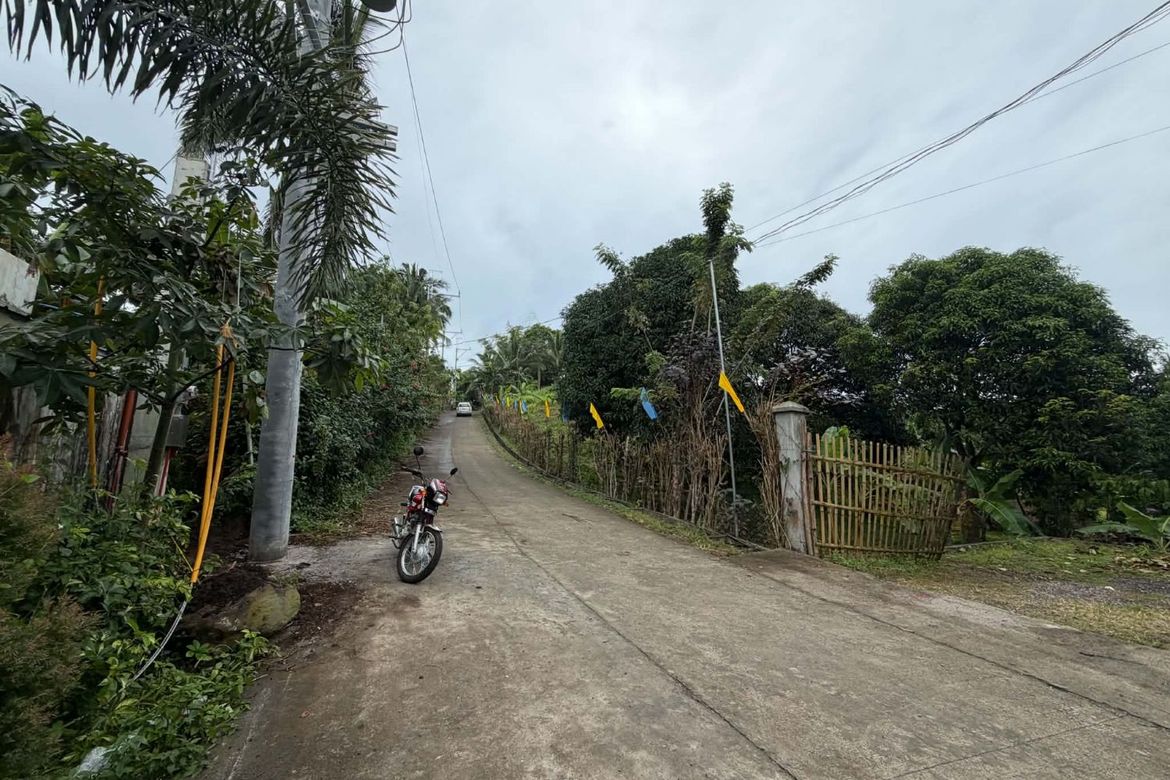 Land for Sale in Maymangga, Amadeo, Cavite – photo 4