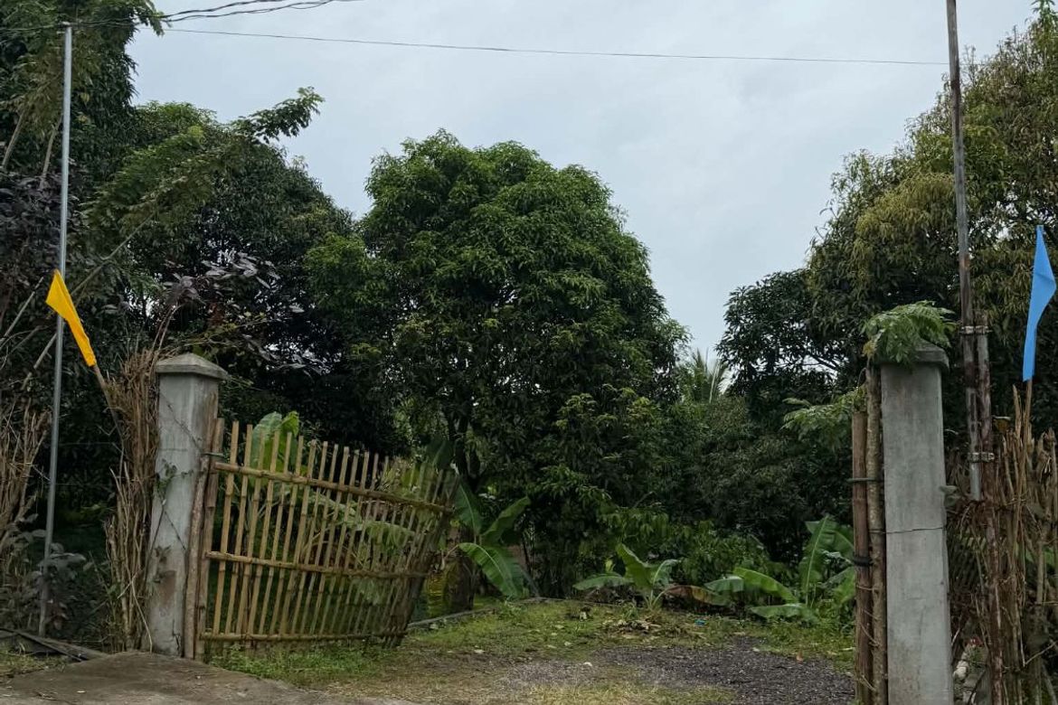 Land for Sale in Maymangga, Amadeo, Cavite – photo 6