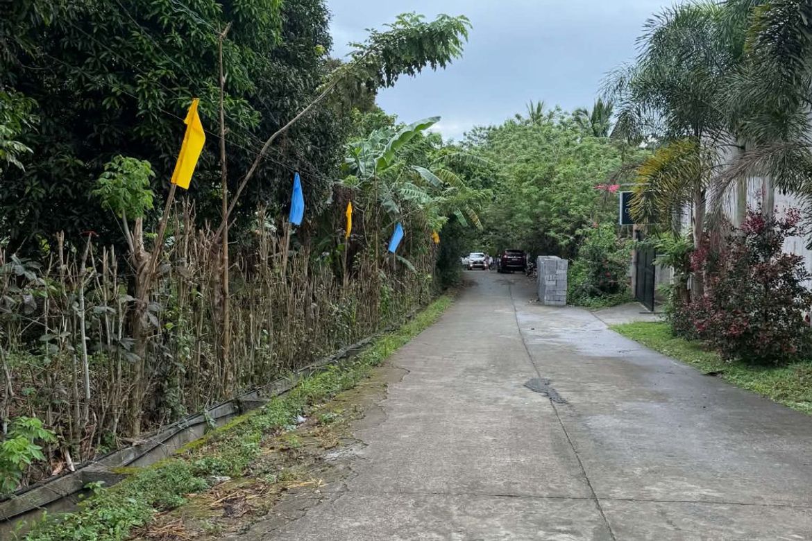 Land for Sale in Maymangga, Amadeo, Cavite – photo 8