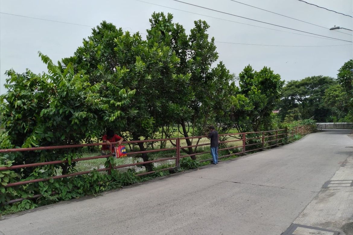 Land for Sale in Maysan, Valenzuela, Metro Manila – photo 7