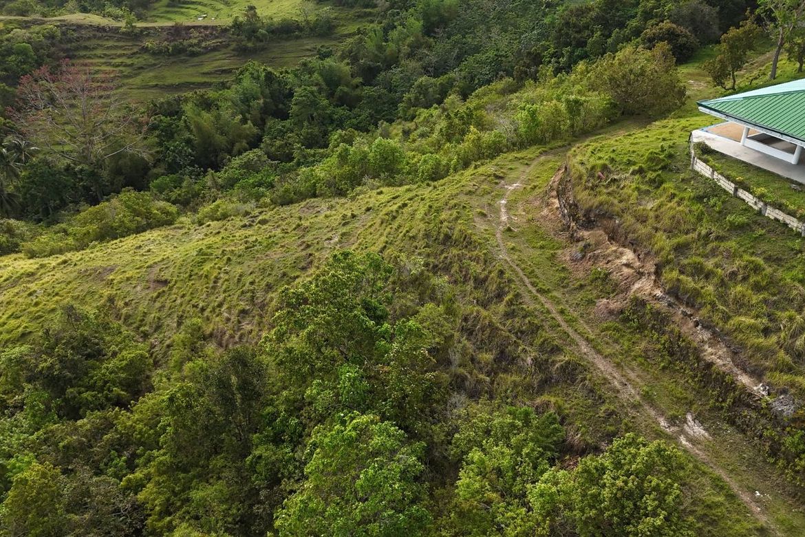 Land for Sale in Mayuga, Guindulman, Bohol – photo 3