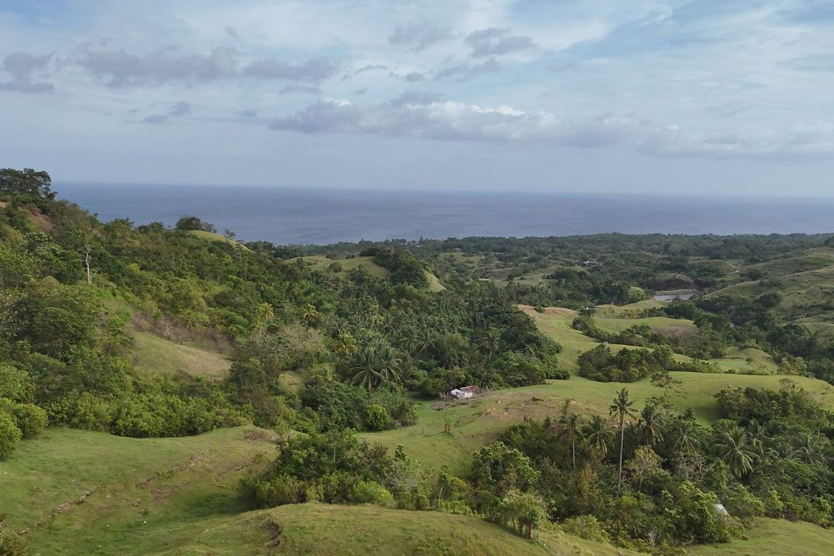 Land for Sale in Mayuga, Guindulman, Bohol – photo 4