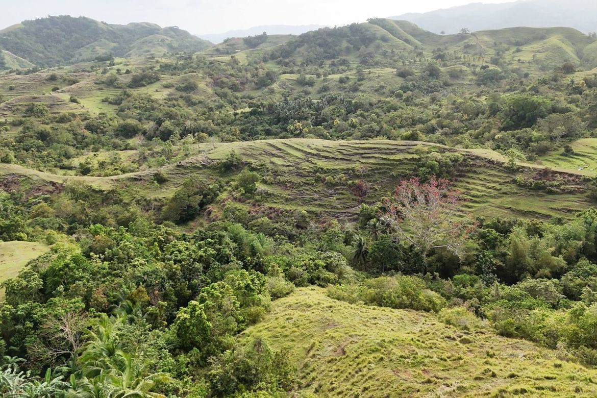 Land for Sale in Mayuga, Guindulman, Bohol – photo 5