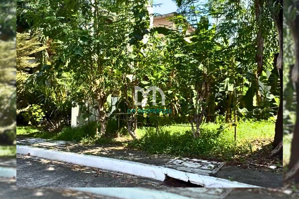 Land for Sale in McKinley Hill, Taguig, Metro Manila