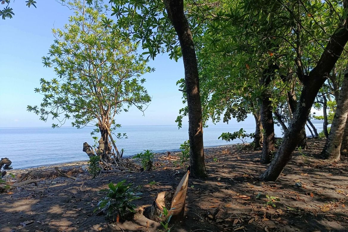 Land for Sale in Membuli, Salay, Misamis Oriental – photo 3