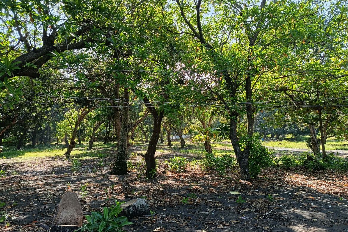 Land for Sale in Membuli, Salay, Misamis Oriental – photo 4