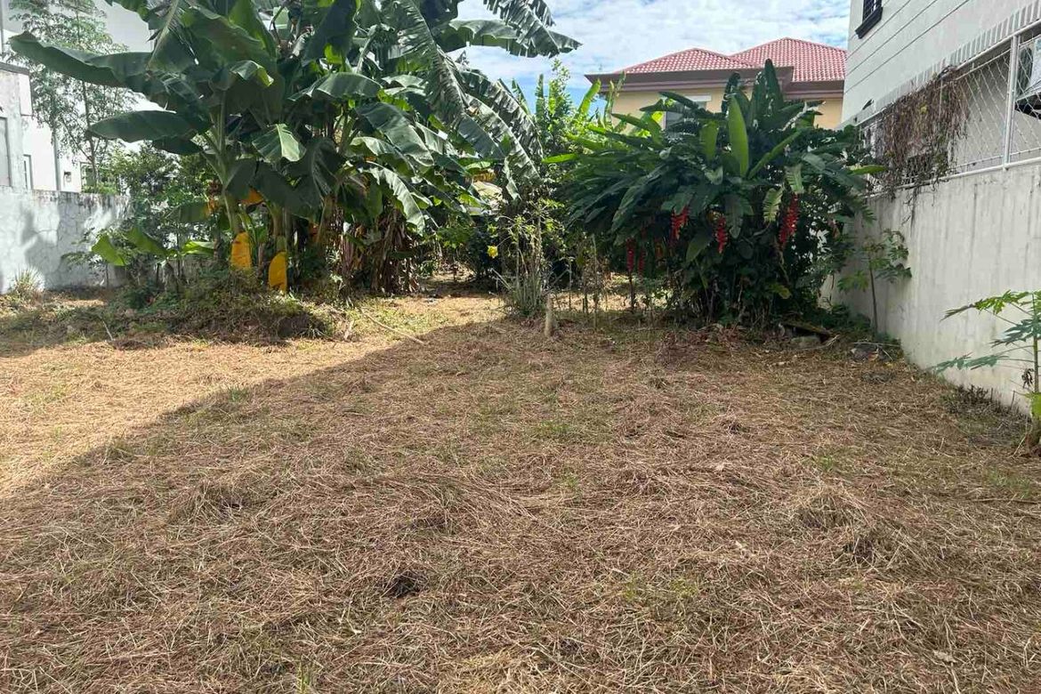 Land for Sale in Merville, Parañaque, Metro Manila – photo 2