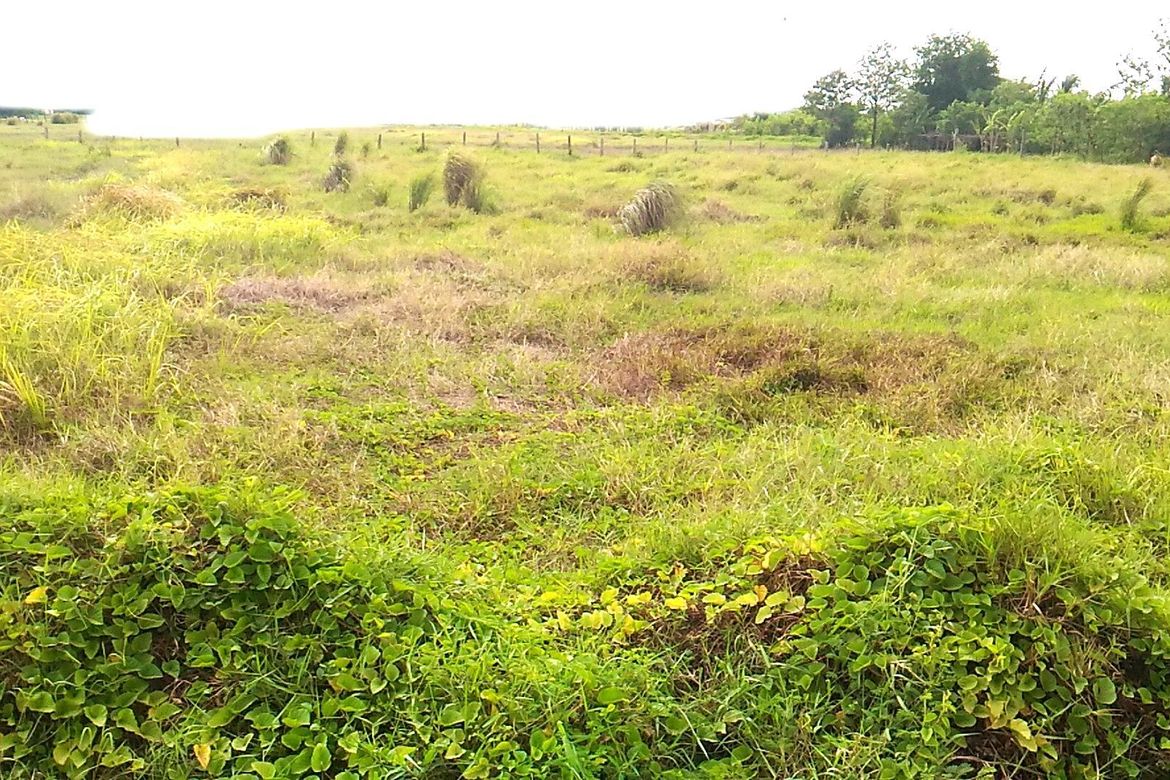 Land for Sale in Merville, Parañaque, Metro Manila – photo 2
