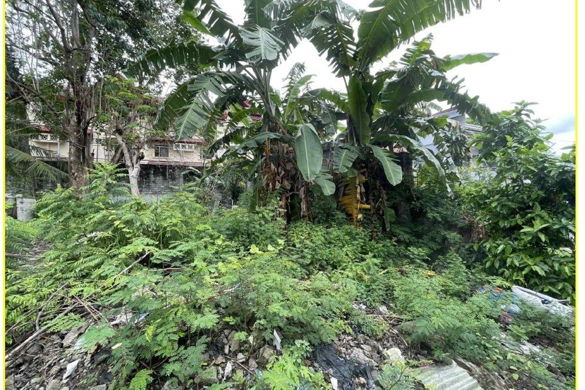 Land for Sale in Merville, Parañaque, Metro Manila – photo 3