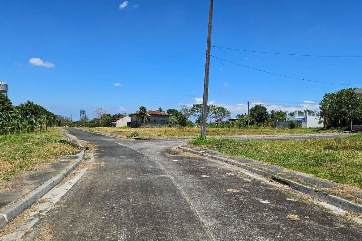 Land for Sale in Metro South Village, Panungyanan, General Trias, Cavite – photo 4